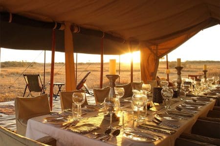 Join a Seasonal Migration Camp in Kenya