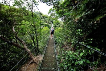 Costa Rica Declares New National Park