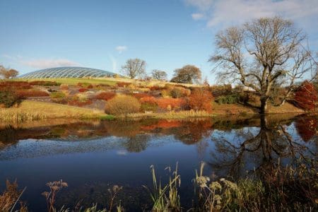 Autumnal Adventures in Carmarthenshire