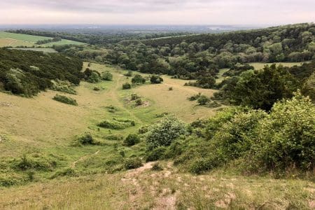 Chichester Walking Weekend This September