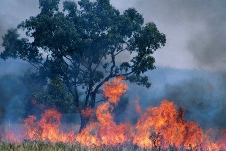 Australia Bush Fires Set to Continue