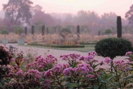 Experience Autumn at Trentham Gardens