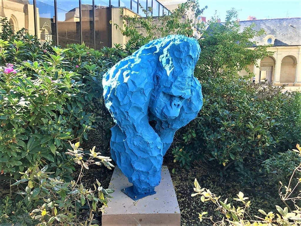 A bashful blue gorilla in Angers