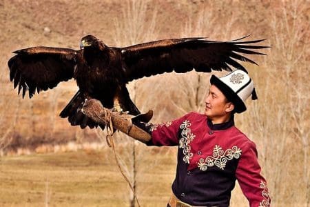 Golden eagle used for traditional hunting, Kyrgyzstan (Ramona Cazacu)