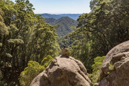 Latest New Zealand Great Walk Opens