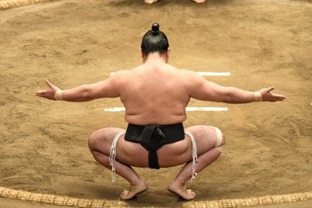 TravMedia_United_Kingdom_1374703_Sumo-wrestle-Flash-Pack