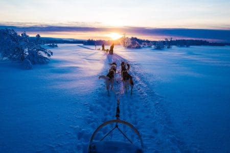 Off-grid Husky-sledding in Finnish Lapland