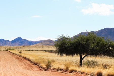 Hike Terrific Tok Tokkie Namibia in March