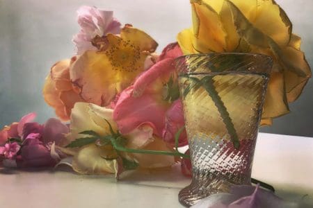 Nick Knight: Roses From My Garden