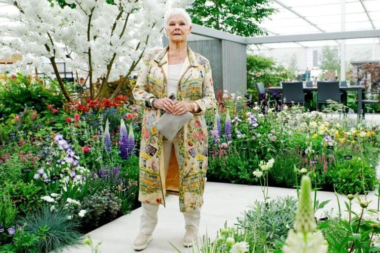 Chelsea Flower Show 2023, London, UK Travel Begins at 40