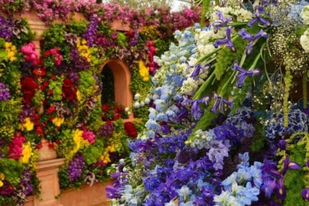 7 Ways to Enjoy a Virtual English Garden