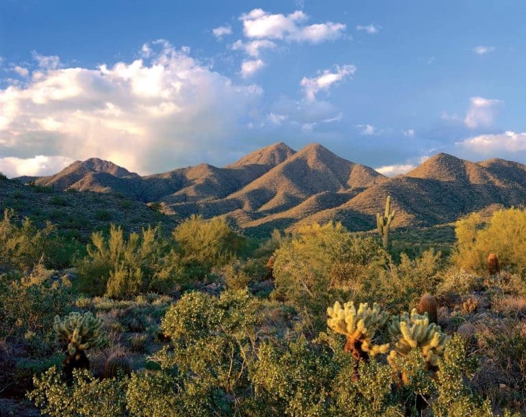 Five Best Hikes in Scottsdale Arizona - Travel Begins at 40