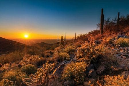 Five Best Hikes in Scottsdale Arizona