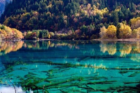 Return of Jiuzhaigou Nature Reserve, China