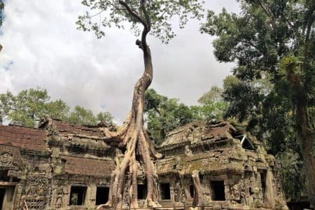 Angkor Wat Away from the Crowds