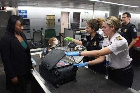 Helsinki Trials Airport COVID-19 Sniffer Dogs