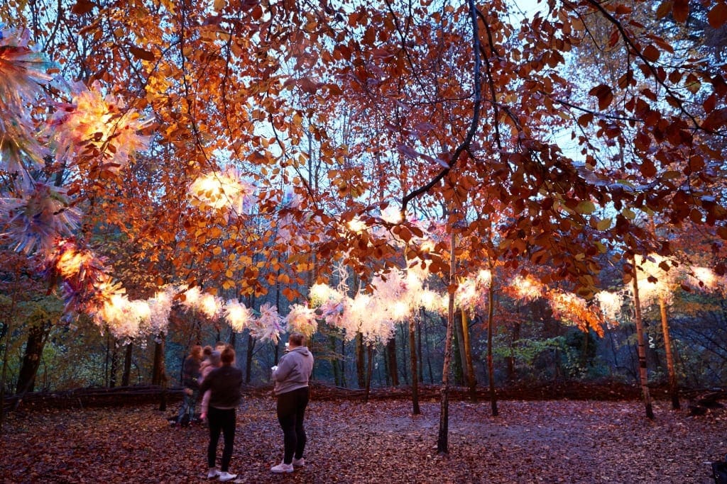 37. Bottle Festoon ​- Various locations Bottle Festoon​. Supported by County Durham Community Foundation, Hays Travel Foundation and St. Margaret’s Centre. Lumiere​ Durham 2019, produced by Artichoke.