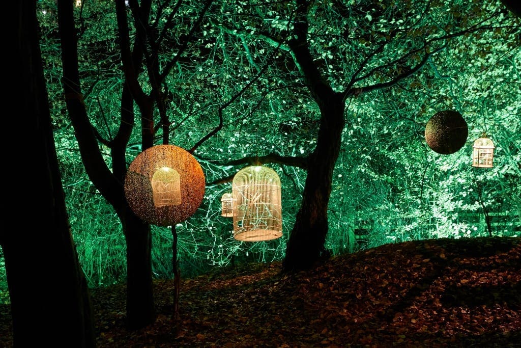 25. For the Birds - Durham University Botanic Garden For the Birds​, Jony Easterby & Kathy Hinde, Mark Anderson, Pippa Taylor and Ulf Pedersen. Lumiere​ Durham 2019.