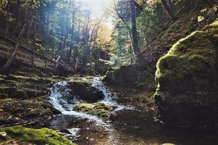 Sustainability in Fundy National Park of Canada