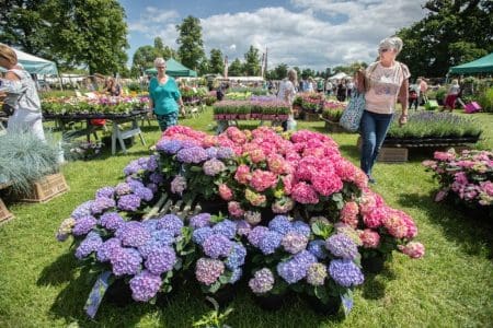 Blenheim Palace Flower Show 2024