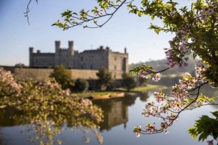 Japan’s Blossoming Legacy to Leeds Castle