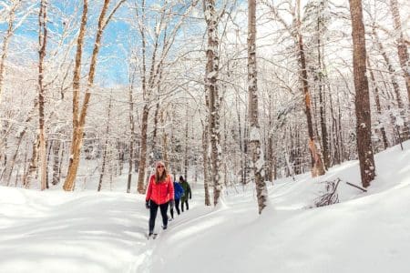 Gary Schneider : Macphail Woods, Prince Edward Island