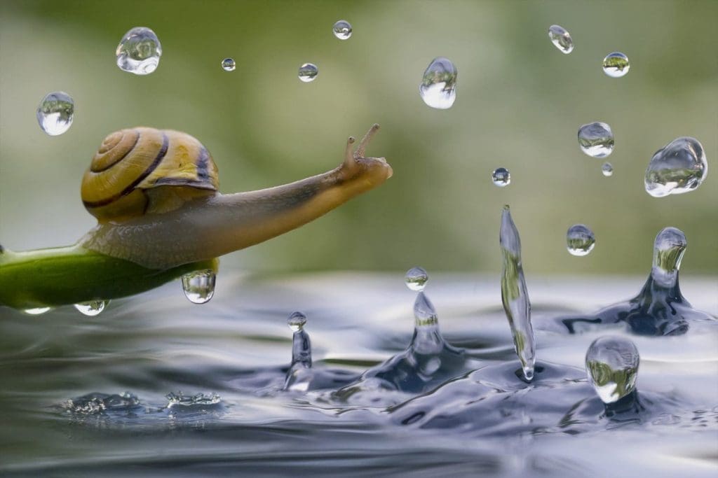 Travel Photographer of the Year