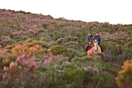 Carbon Negative Grootbos Private Nature Reserve