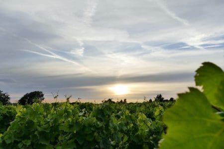 New East Yorkshire Wine Trail