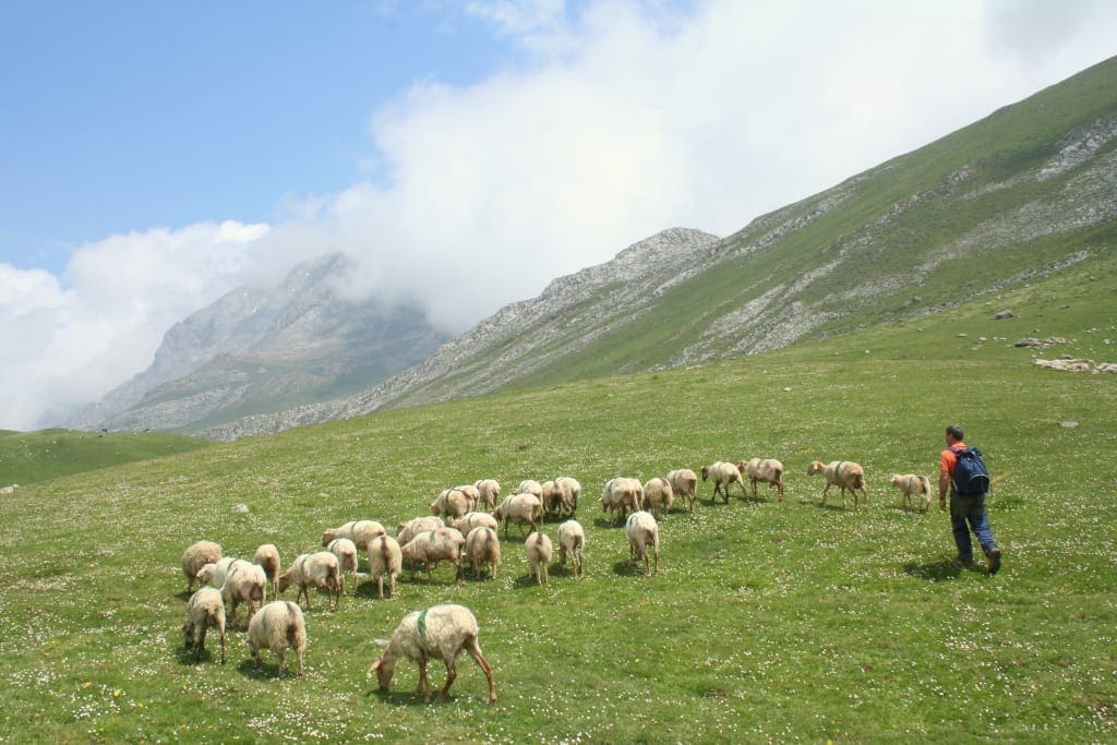 Aliva praries in the Valdeon valley