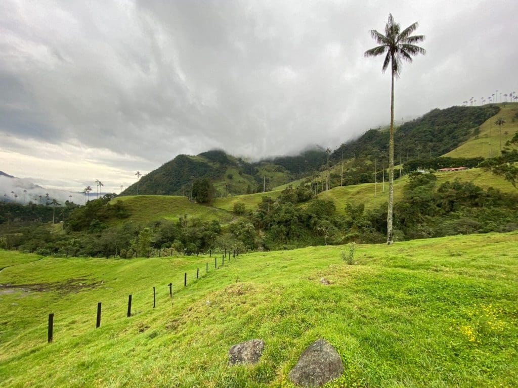 things to do in Colombia