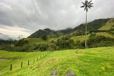 From Culture to Nature: 10 Things to Do in Colombia