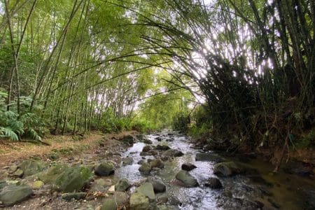 Tasting the Colombia Coffee Region