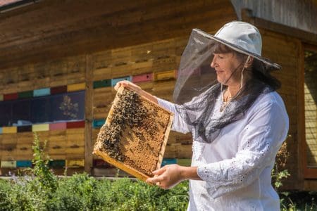 Celebrate World Bee Day in Slovenia