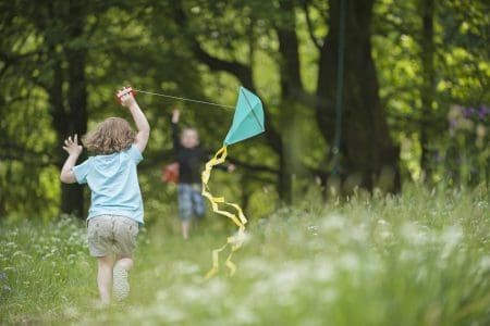 Leominster & Hereford Kite Festival, Berrington Hall