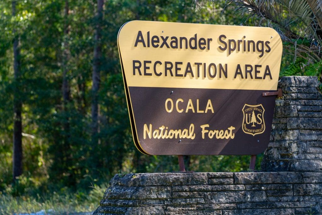 Visiting Ocala National Forest? 8 Things You Can't Leave Without Doing ...