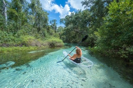 The Natural Wonders of Orlando Florida