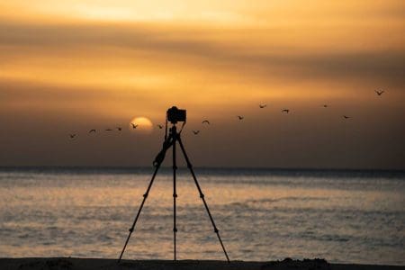 Travel tripods are essential for long exposure photography