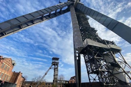 Regeneration in Hoge Kempen National Park Limburg