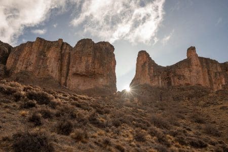 Witness the Wild at Patagonia Park Argentina