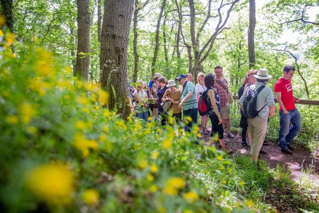 Wayfaring walk with Patrick Barkham, Isabel Hardman, Rob Pickford - credit Ruby Ingleheart 2