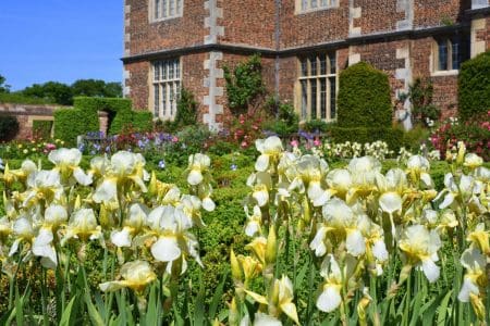 Celebrate Arrival of Spring at Doddington Hall