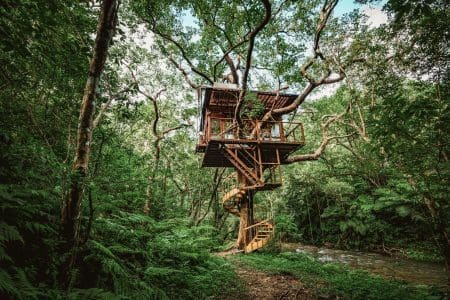 Wooden treehouse (1)Credit Treeful Treehouse