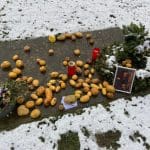 Grave of Frederick the Great, Sanssouci Park