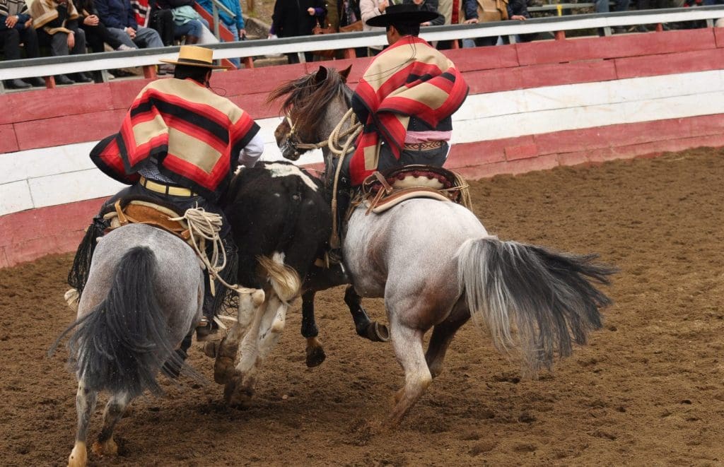 Chilean rodeo