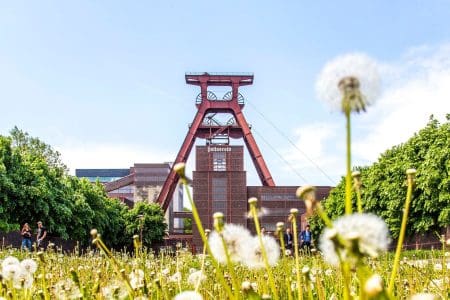 From Culture to Nature: 5 Things To Do in Essen Germany