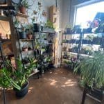 The Plant Library at O666