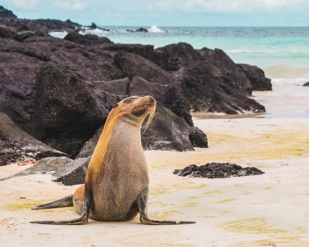 Galapagos Islands