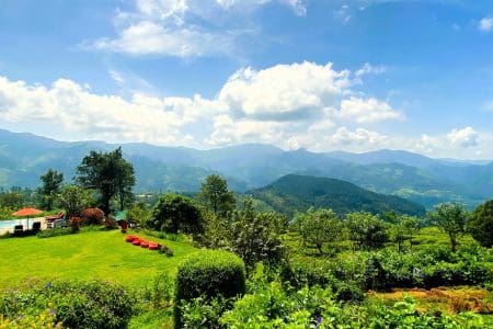 Sri Lanka Tea Plantation