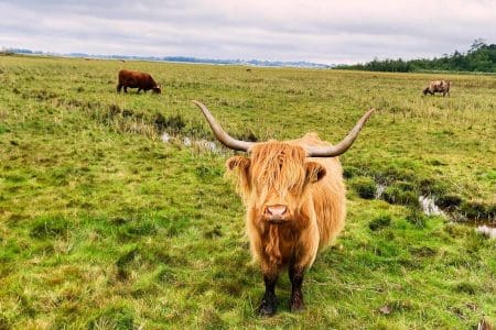 Slow Travel in Horsens and Kystlandet Denmark